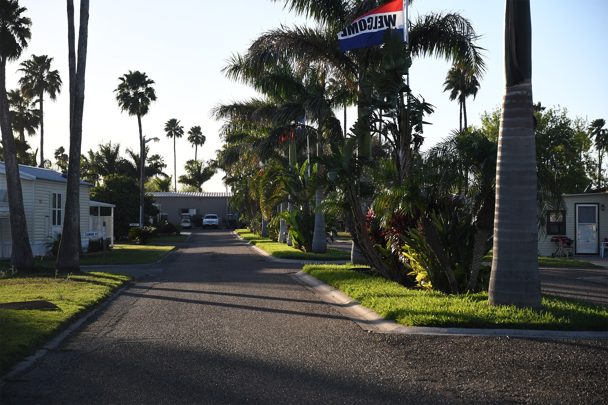 A sunlit residential street flanked by palm trees and manicured lawns, with a "Welcome" flag waving, creating a serene and inviting atmosphere.